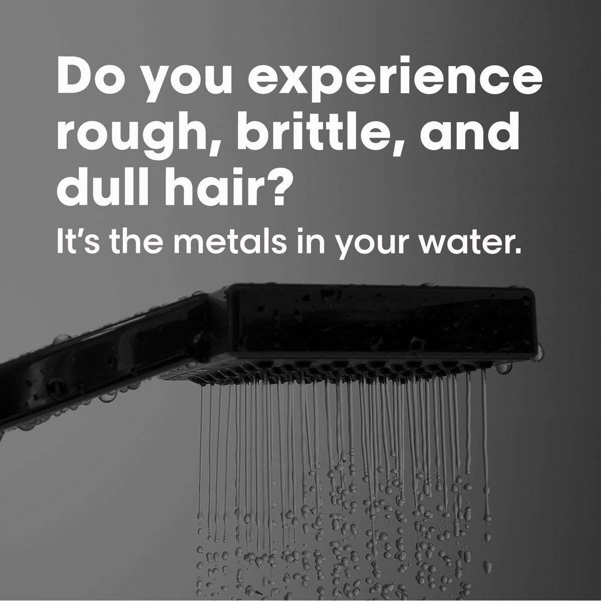 Zuiverende Shampoo L'Oréal Paris E3548700 300 ml