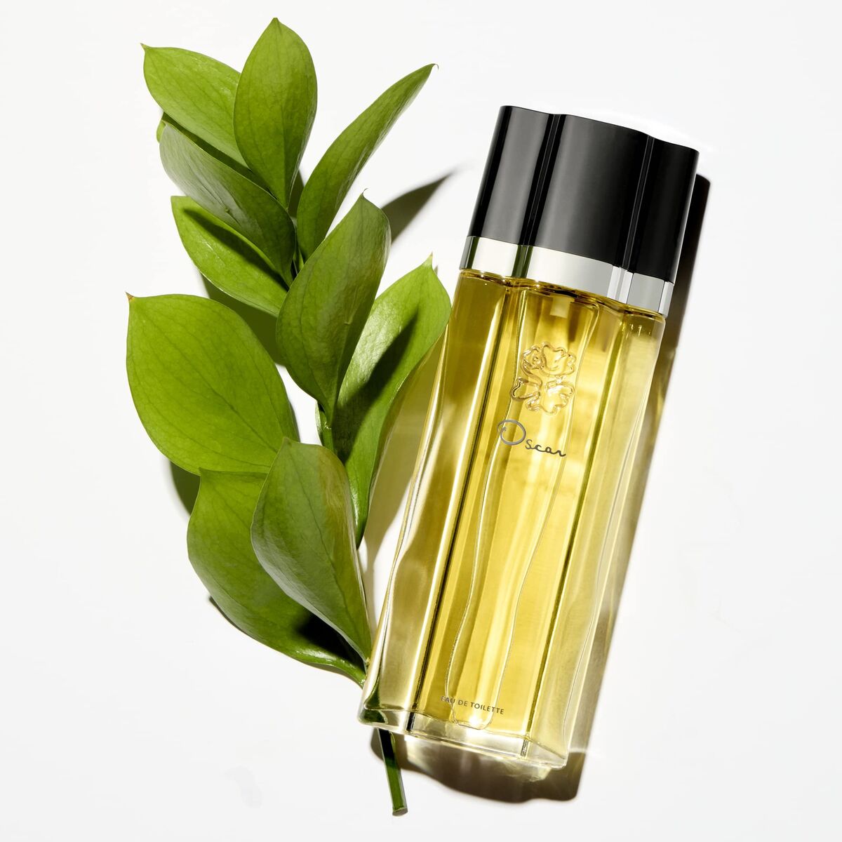 Damesparfum Oscar De La Renta Oscar EDT 200 ml