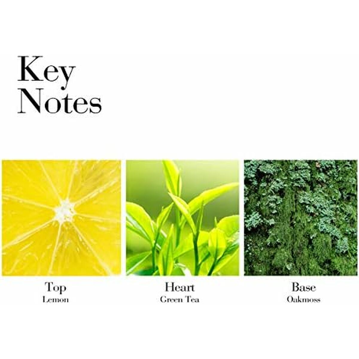 Vochtinbrengende Body Crème Elizabeth Arden GREB40034