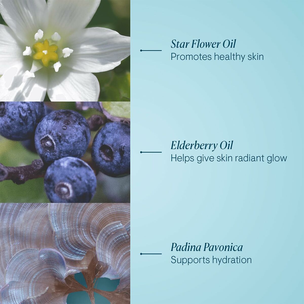 Gezichtsreiniger Elemis Pro-Collagen Cleansing Balm 100 g