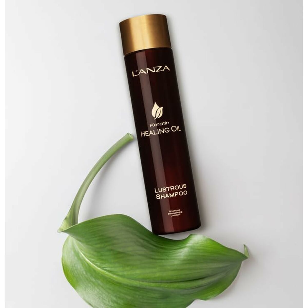 Shampoo L'ANZA 300 ml