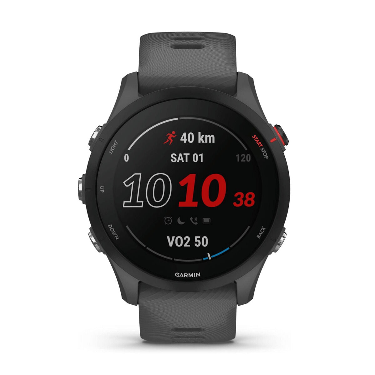 Smartwatch GARMIN Forerunner 255 Grijs 1,3" 46 mm