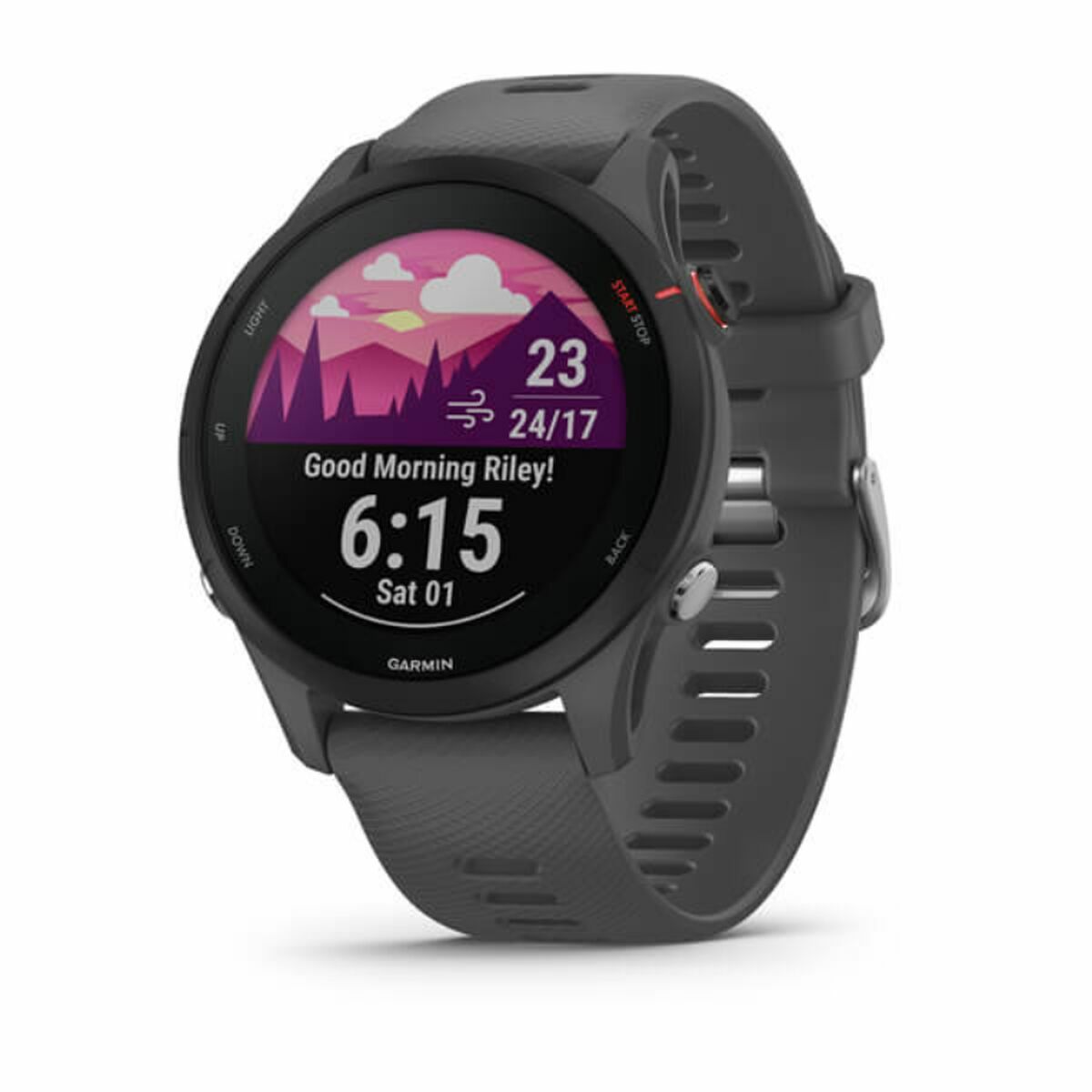 Smartwatch GARMIN Forerunner 255 Grijs 1,3" 46 mm