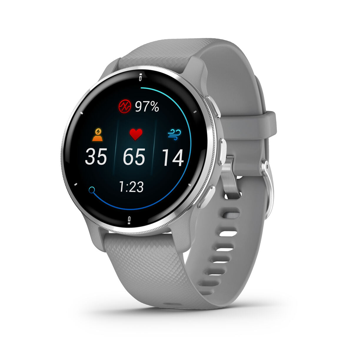 Smartwatch GARMIN 010 - 02496 - 10 Grijs Zilverkleurig 1,3" 43 mm - Elektronica - Garmin