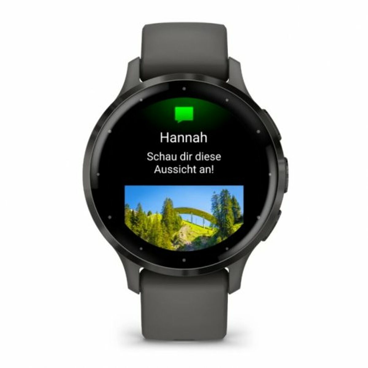 Smartwatch GARMIN Venu 3S Grijs 1,2"