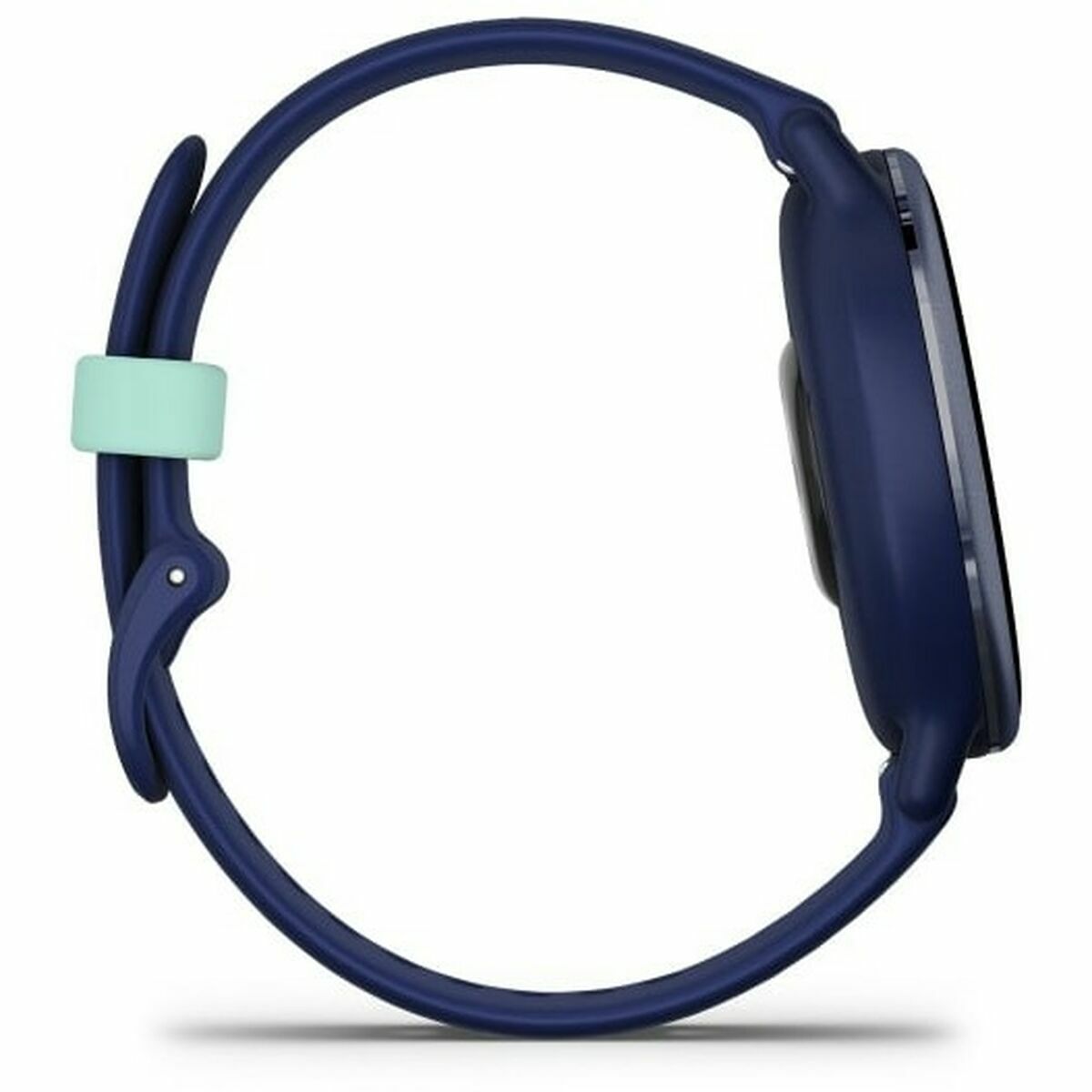 Horloge Heren GARMIN Blauw