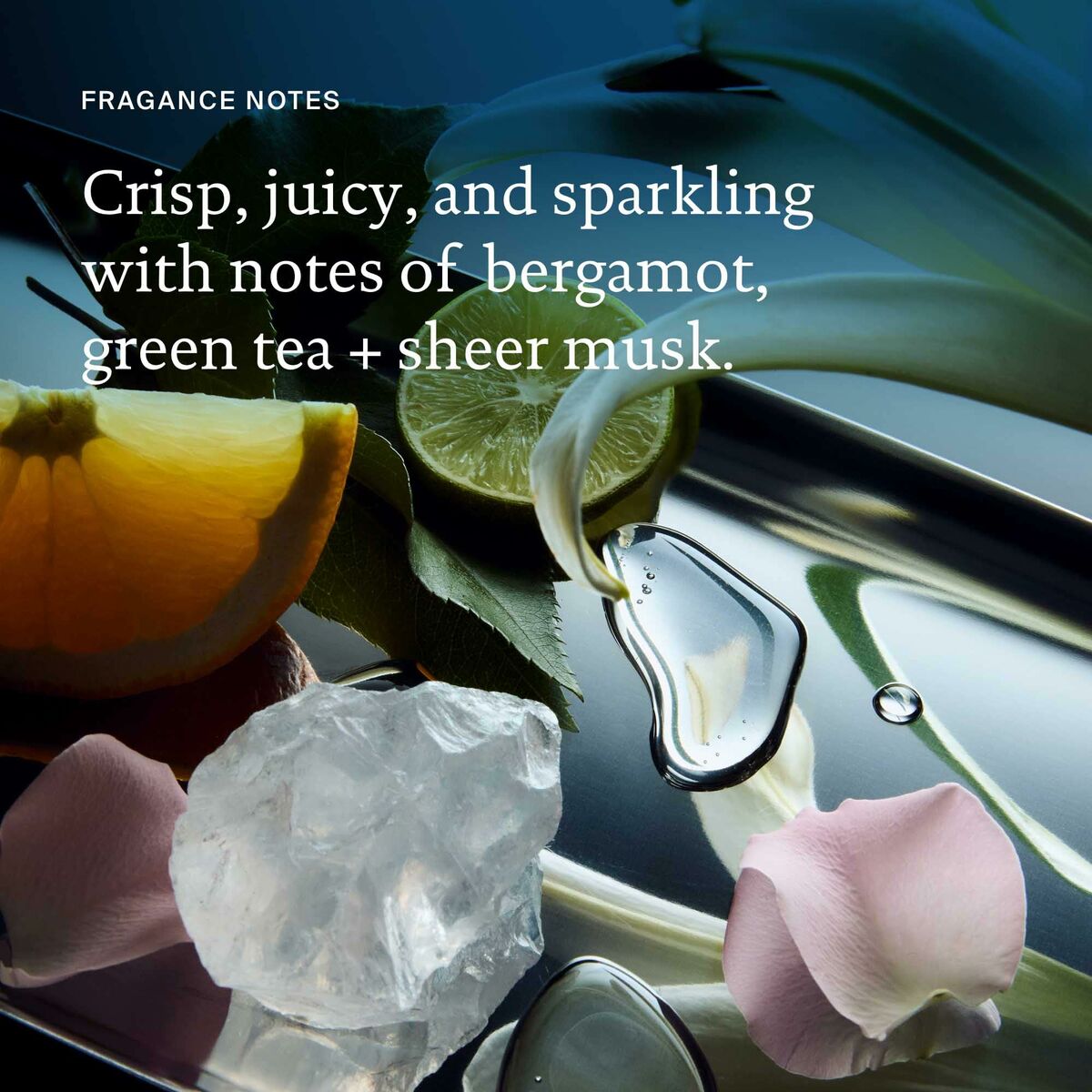 Shampoo Living Proof FULL 236 ml