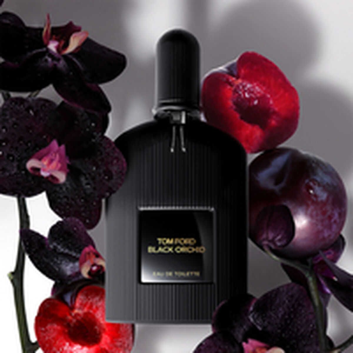 Damesparfum Tom Ford BLACK ORCHID Black Orchid EDT 100 ml - Schoonheid, Parfums en geuren - Tom Ford