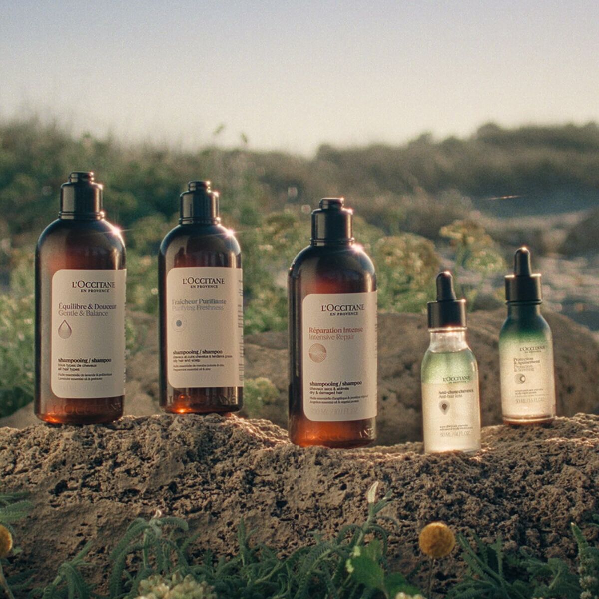 Conditioner L'Occitane En Provence AROMACOLOGÍA 250 ml