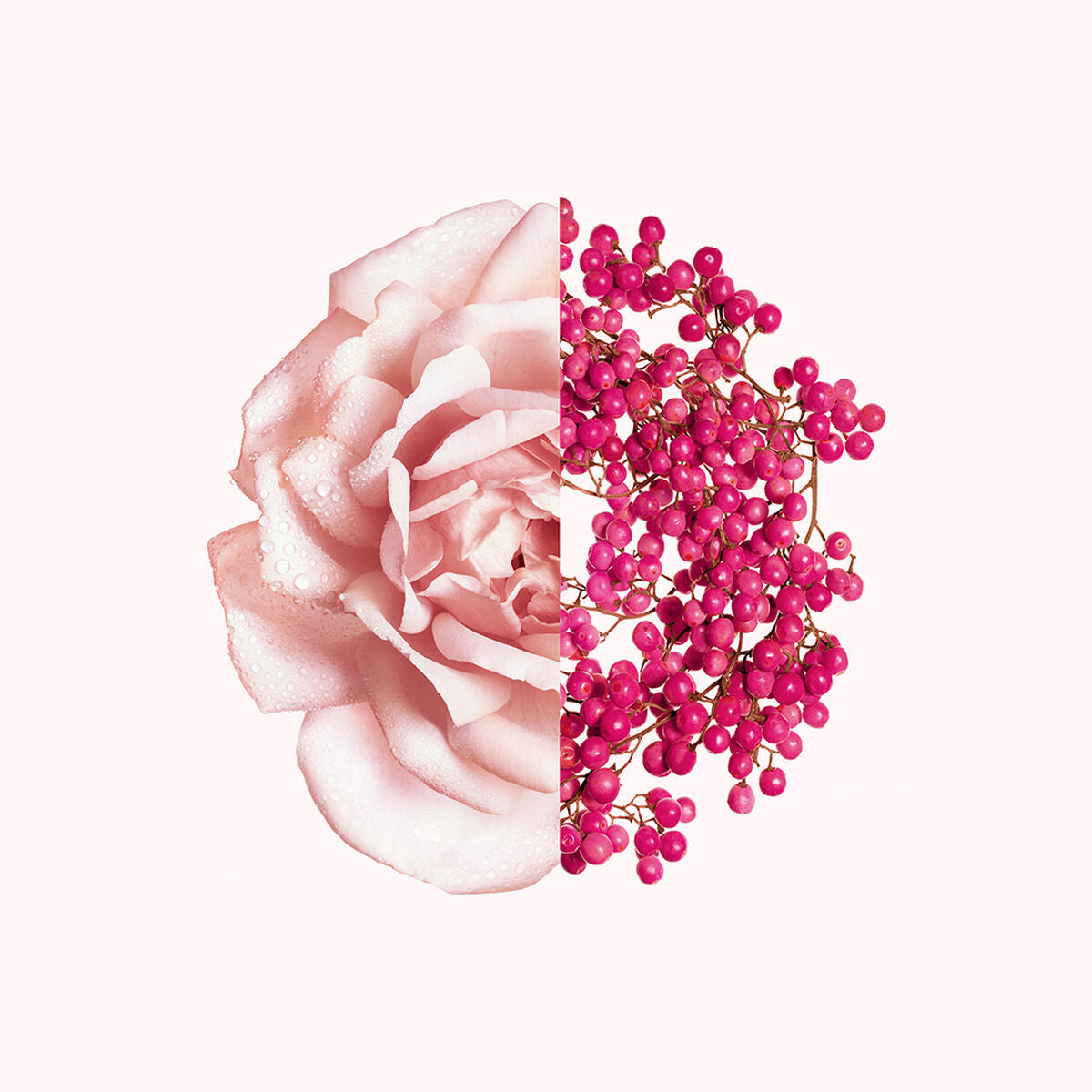 Damesparfum Givenchy Irresistible EDT 80 ml