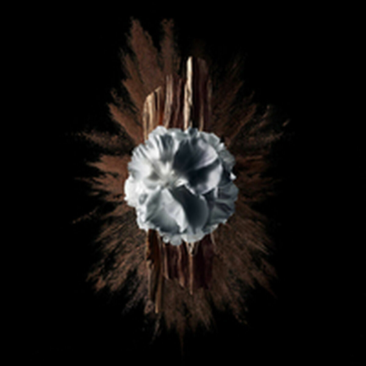 V6HBA43BAF822A621889D919D3E077064D9R5397791P6