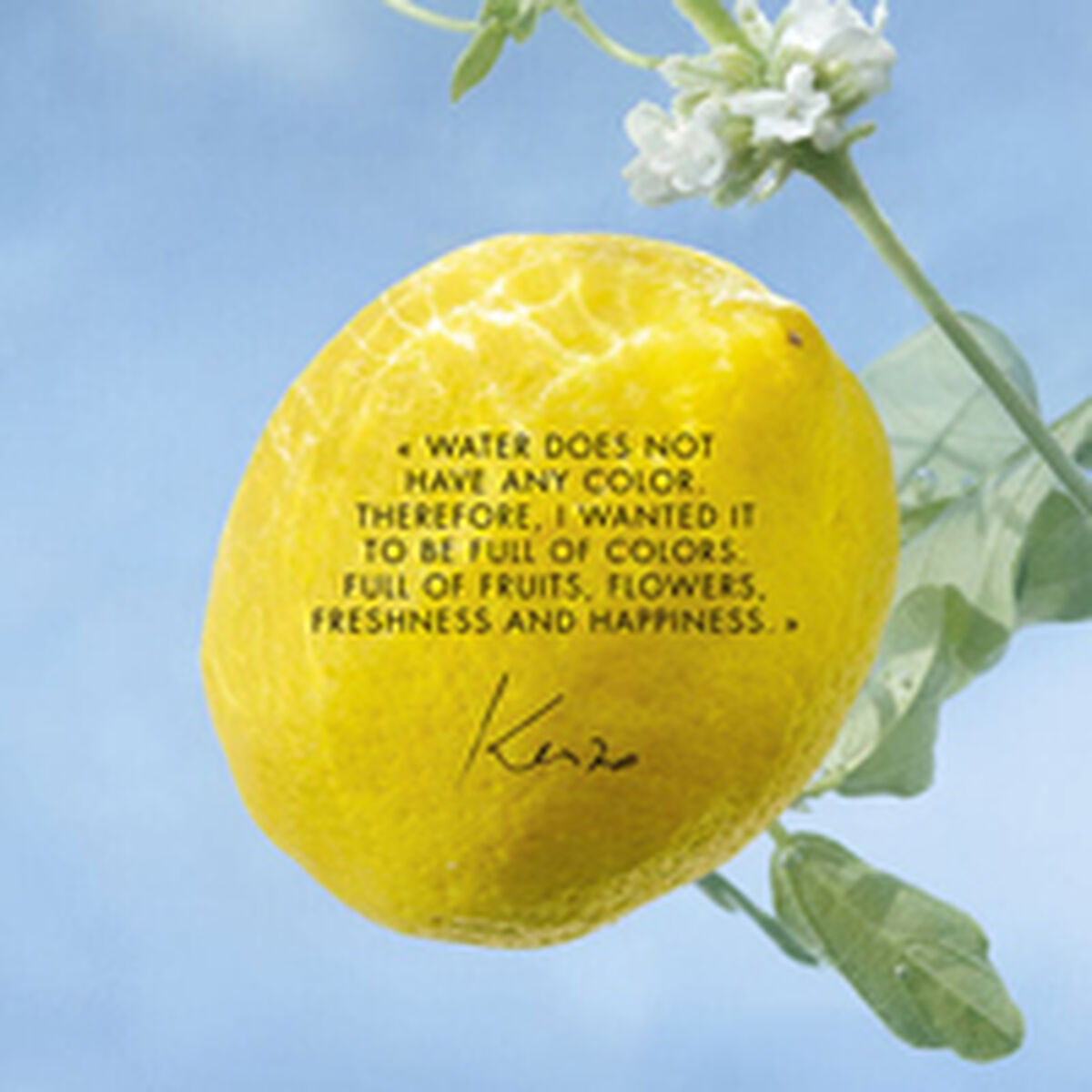 Uniseks Parfum Kenzo L'EAU PURE 30 ml