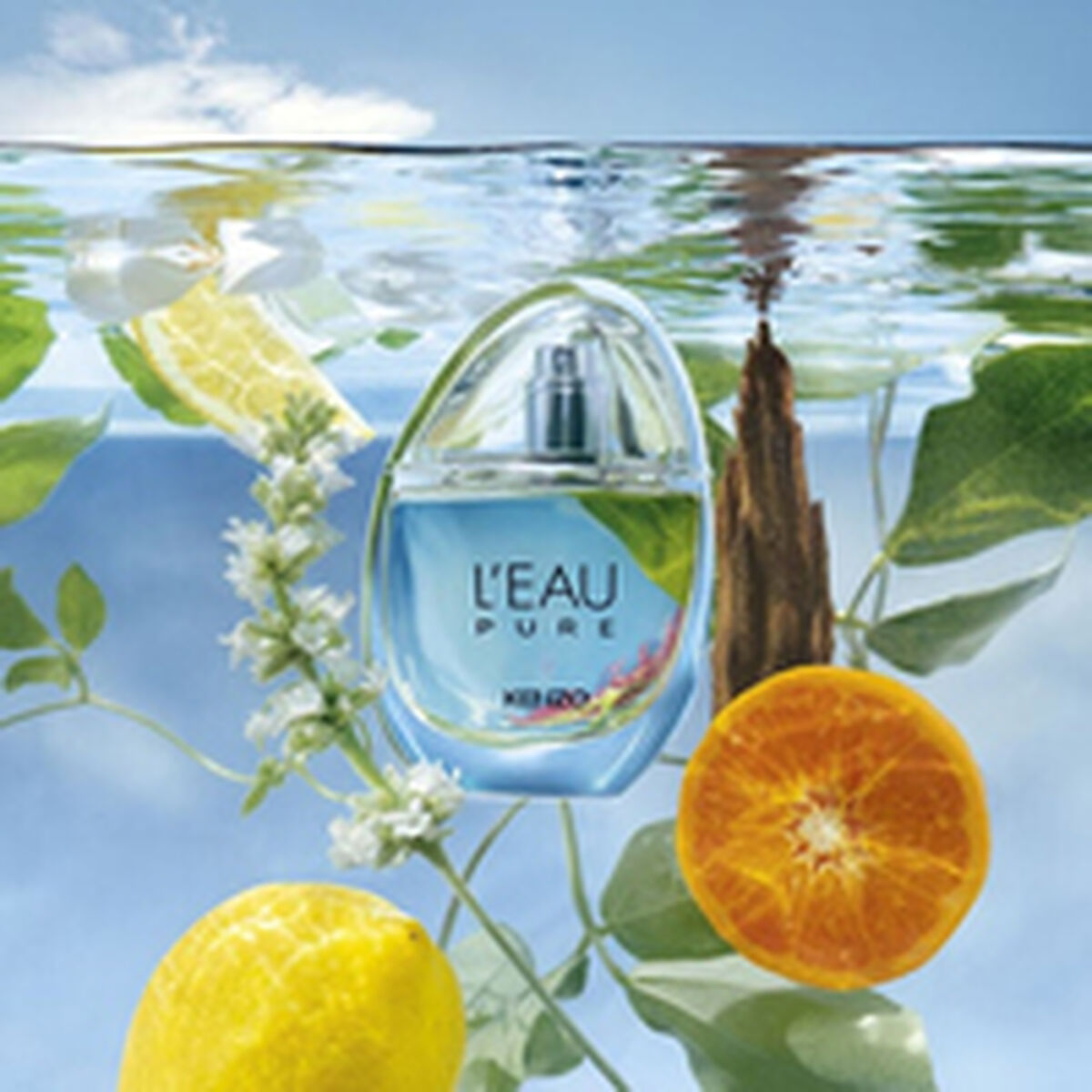 Uniseks Parfum Kenzo L'EAU PURE EDP 100 ml - Schoonheid, Parfums en geuren - Kenzo