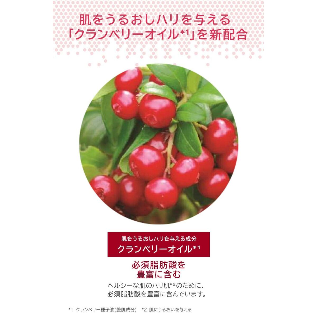 Body Lotion Melvita L'OR ROSE 50 ml