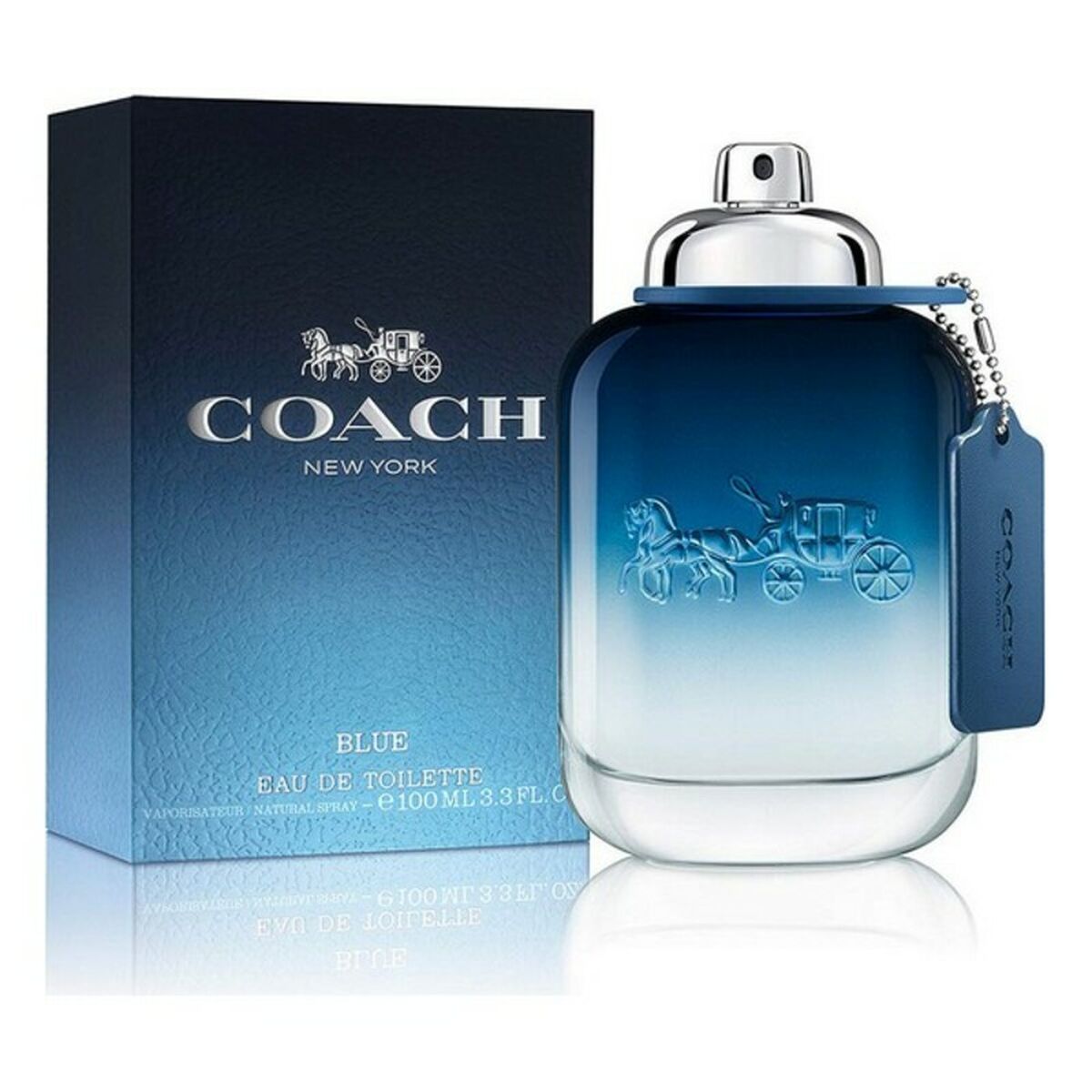 Herenparfum Coach Coach Blue EDT 100 ml - Schoonheid, Parfums en geuren - Coach