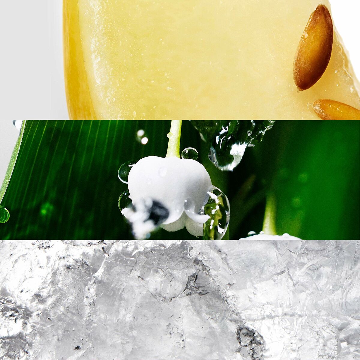 Damesparfum Davidoff Cool Water Woman EDT 50 ml (1 Stuks)