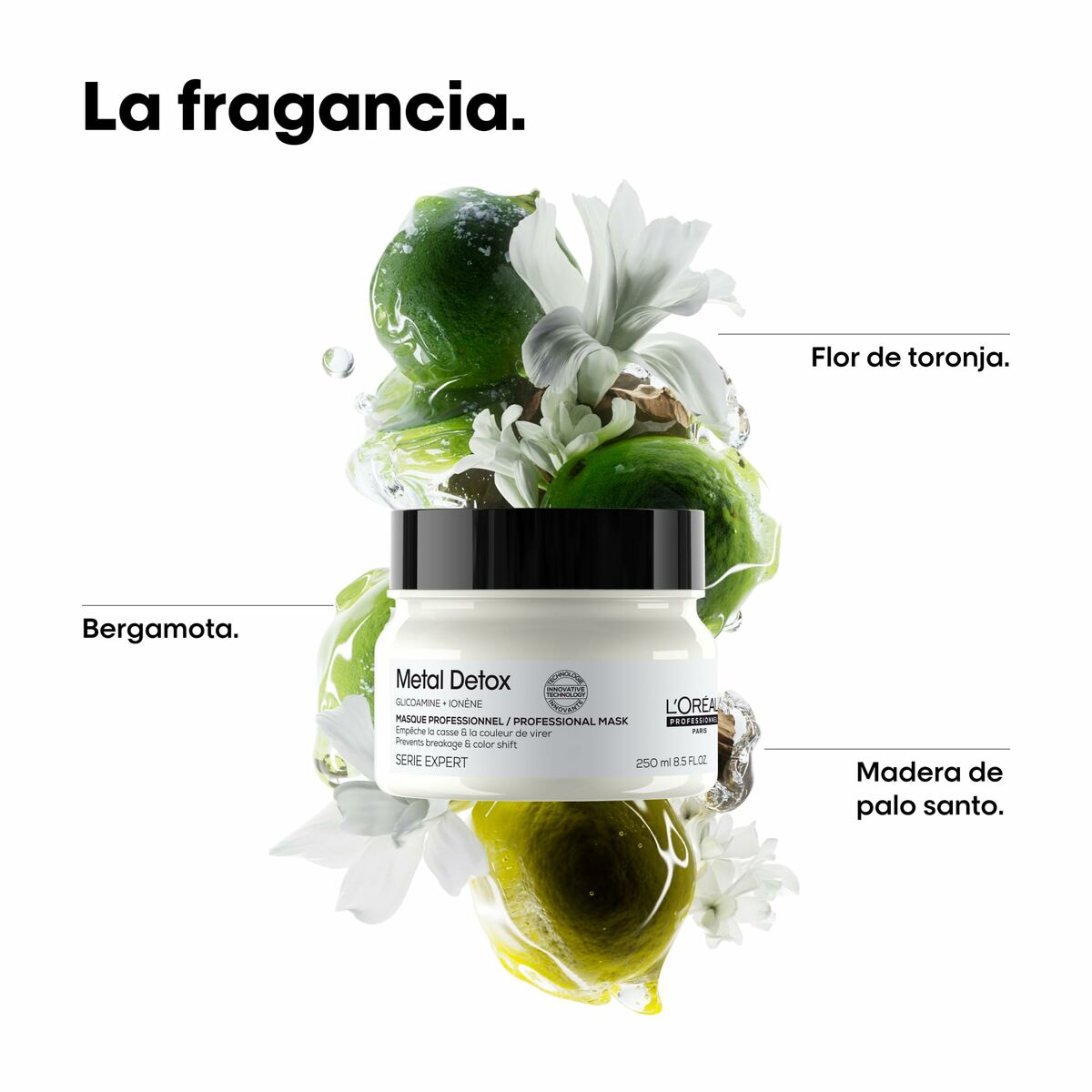 Reparerend masker L'Oreal Professionnel Paris METAL DETOX 150 ml - Schoonheid, Haarverzorging - L'Oreal Professionnel Paris
