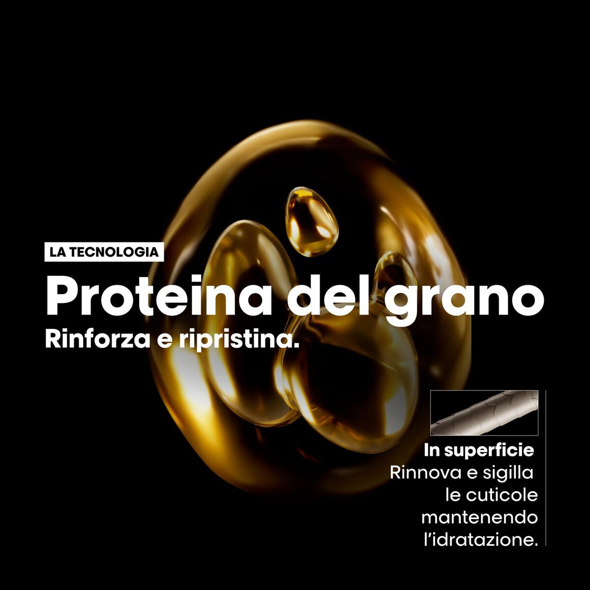 Kappersset L'Oreal Professionnel Paris ABSOLUT REPAIR 2 Onderdelen