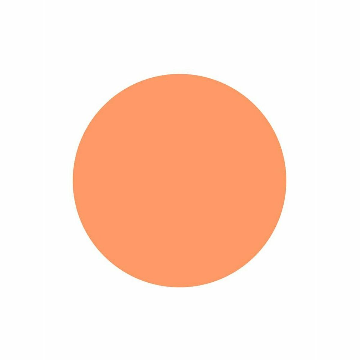 Crème Make-up Basis LeClerc 9 g