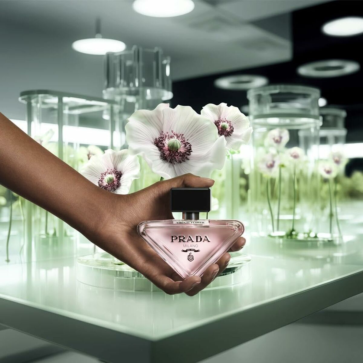 Damesparfum Prada PRADA PARADOXE - Schoonheid, Parfums en geuren - Prada
