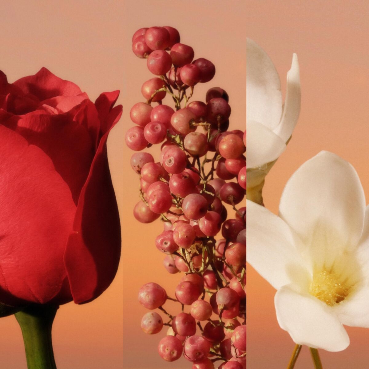 Herenparfum Calvin Klein 30 ml