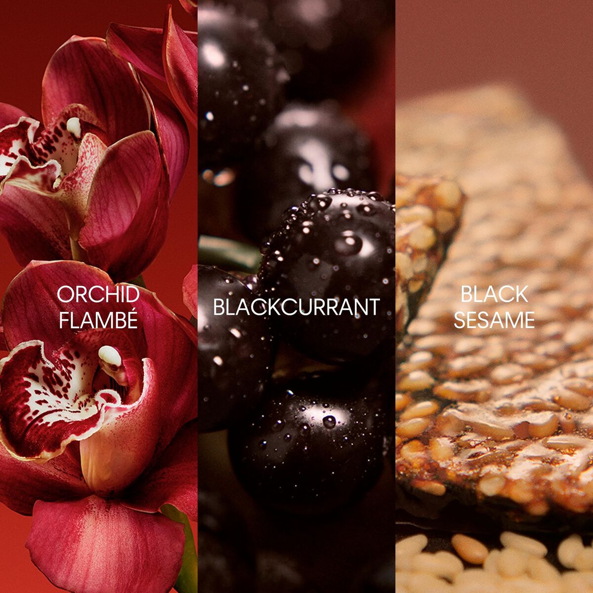 V3H72142A8EA9A6C46F7AA2E0EE2EB52F61R7550207P3