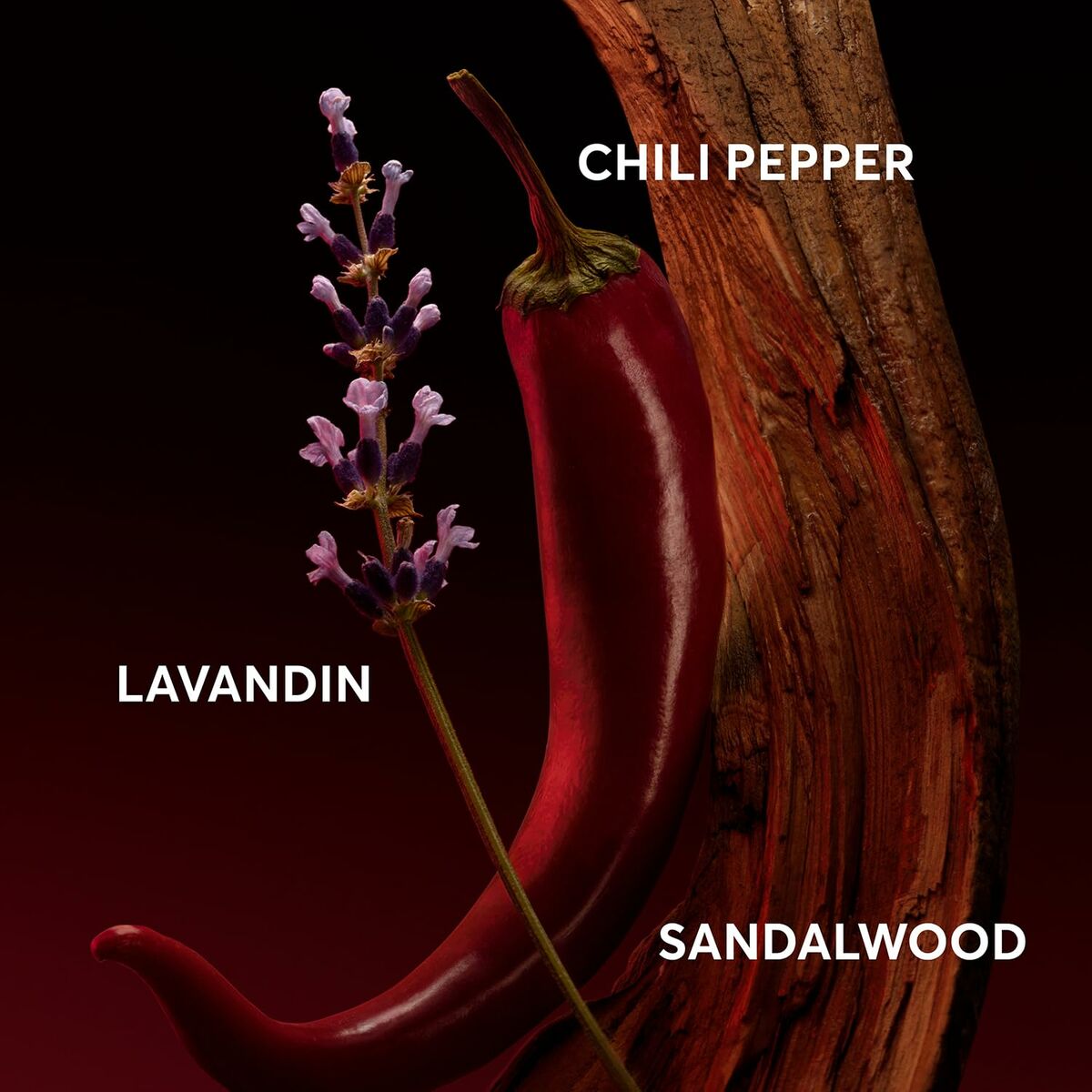 BOSS The Scent For Him Elixir Herenparfum - EDP Luxe 50 ml