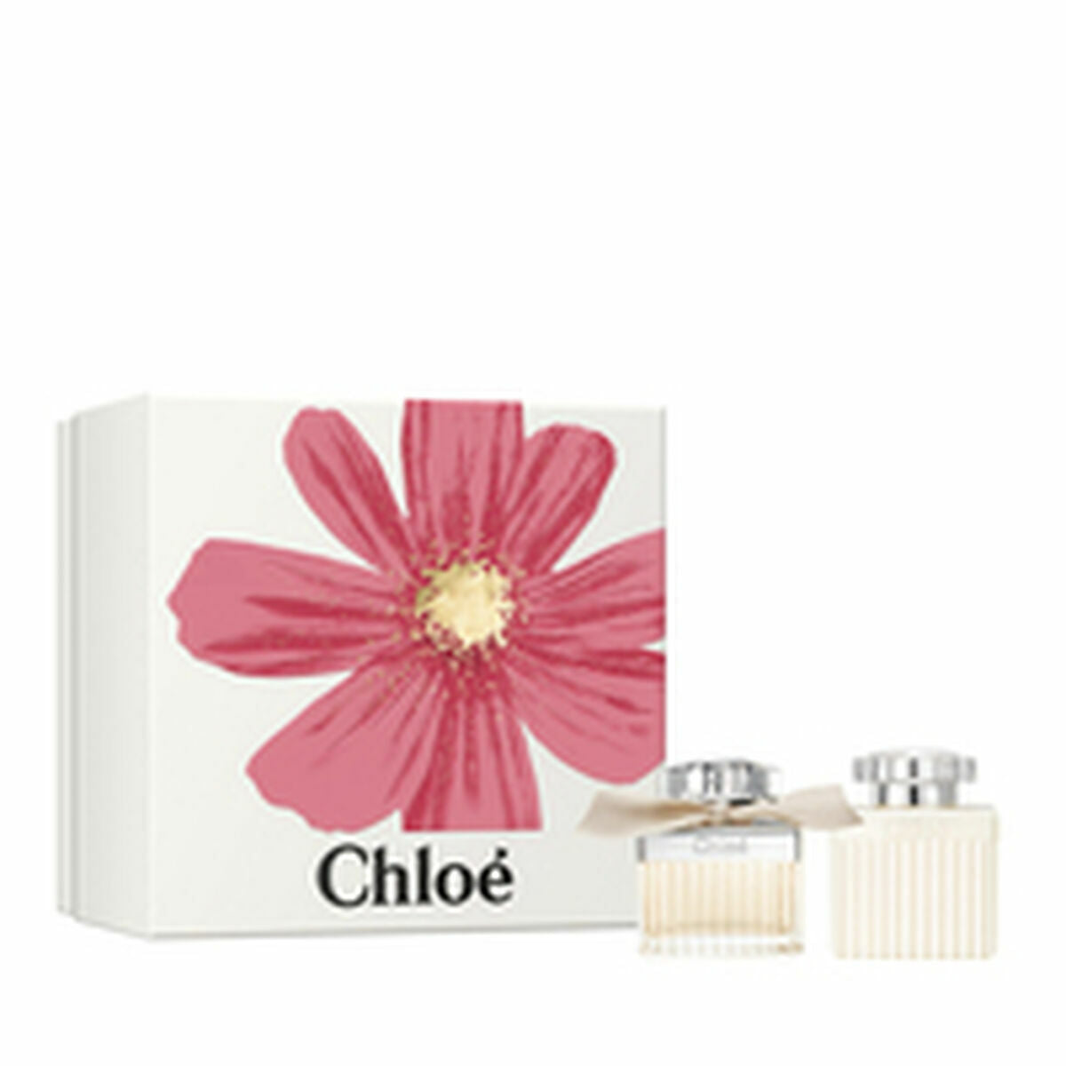 Parfumset voor Dames Chloe CHLOÉ SIGNATURE 2 Onderdelen