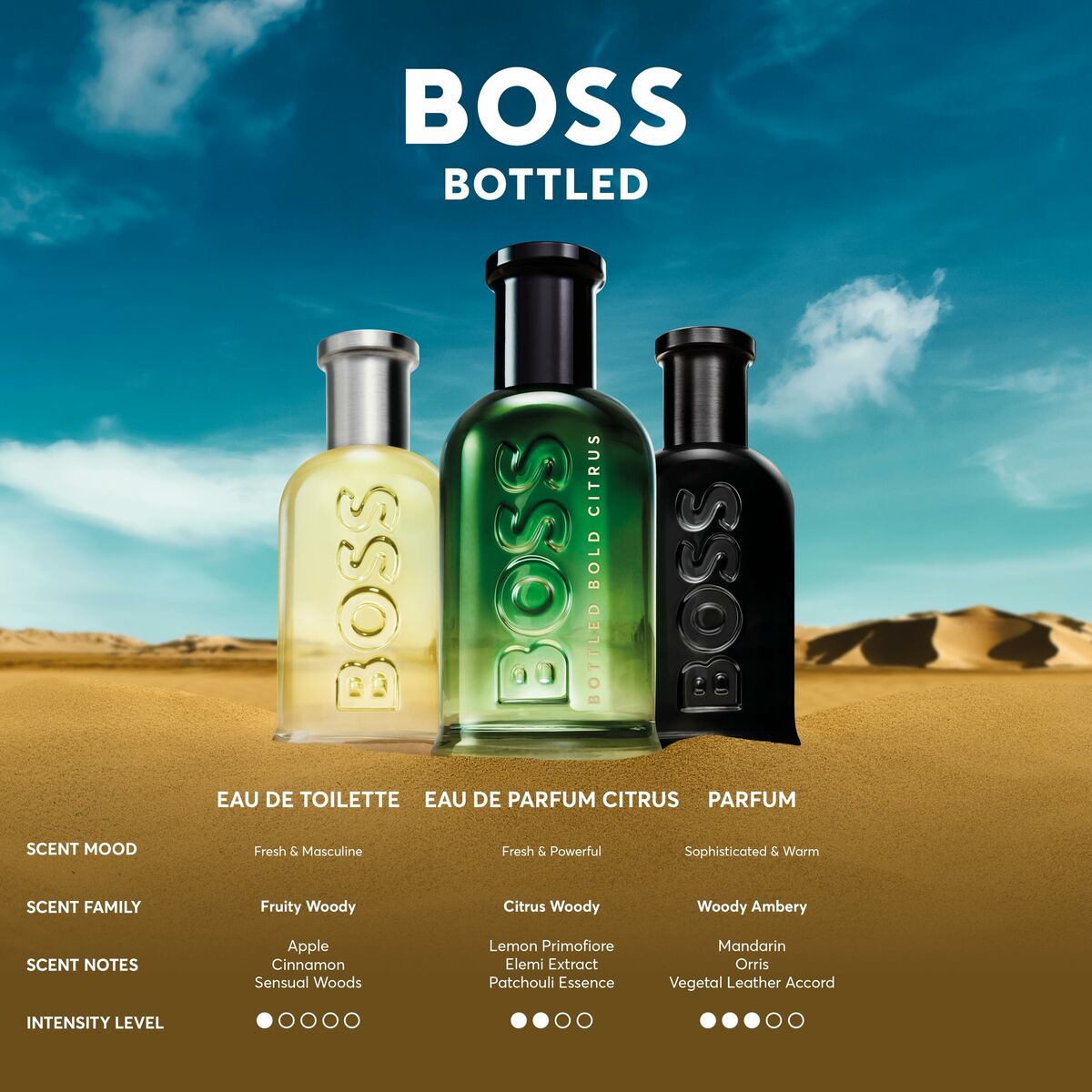 Herenparfum BOSS BOSS BOTTLED 50 ml