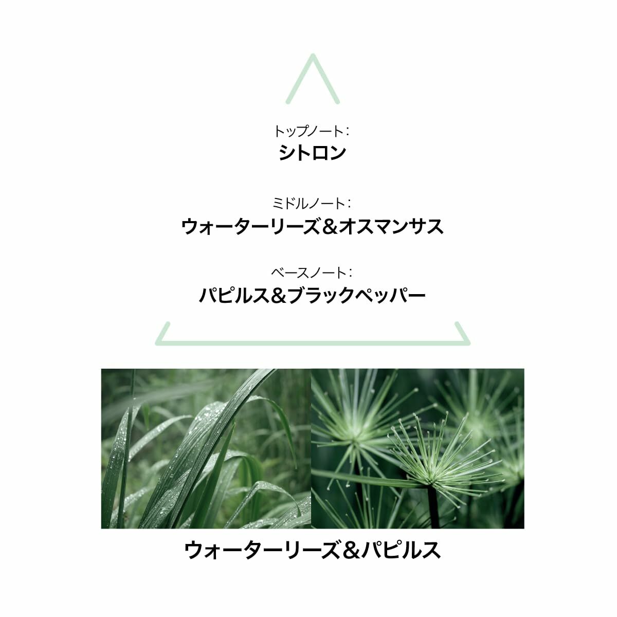 V3H75A089F122357ED96FBBD32DEAEA6905R6996324P3