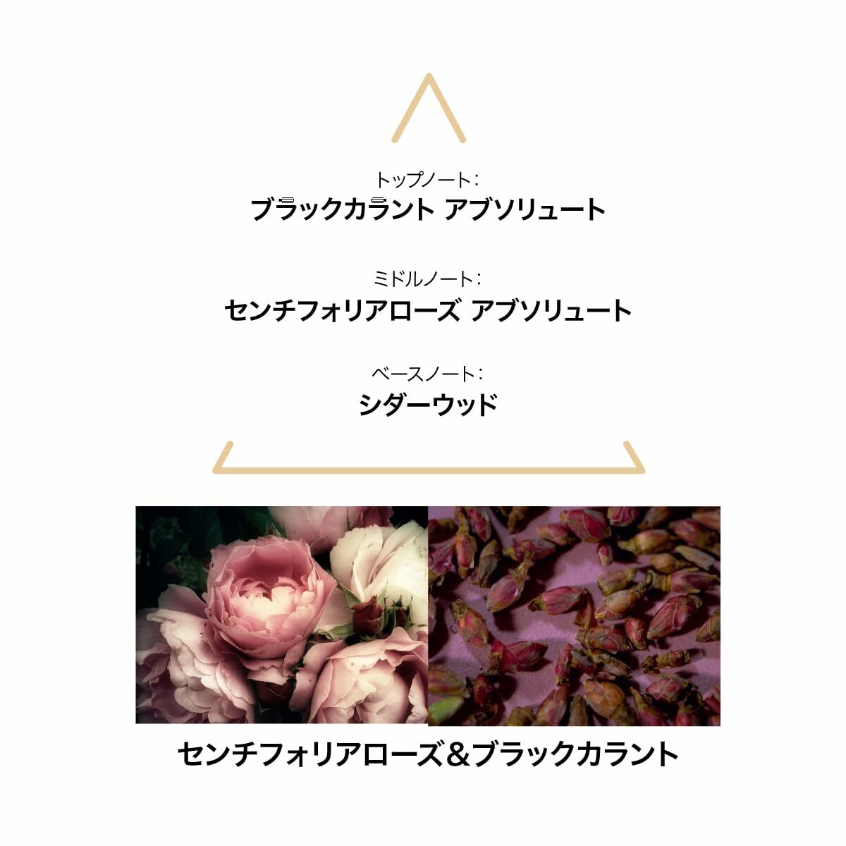 Damesparfum Le Couvent des Minimes EDP