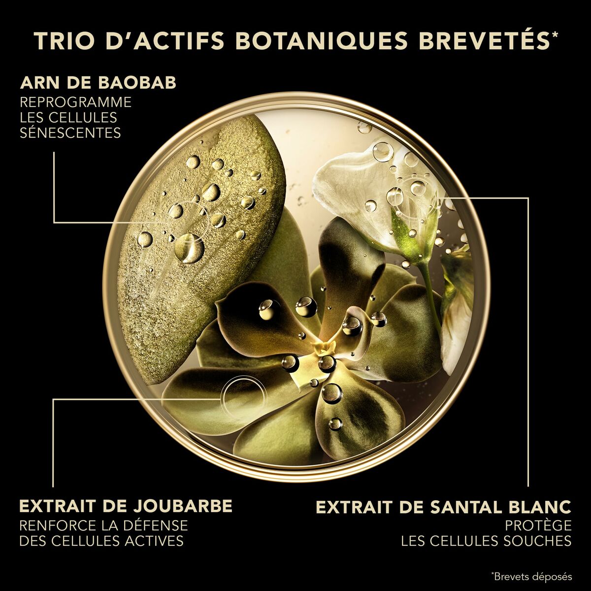 Gezichtscrème Lierac PREMIUM LIERAC 50 ml