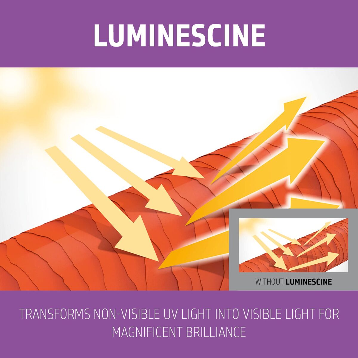 Shampoo Goldwell Blondes Highlights