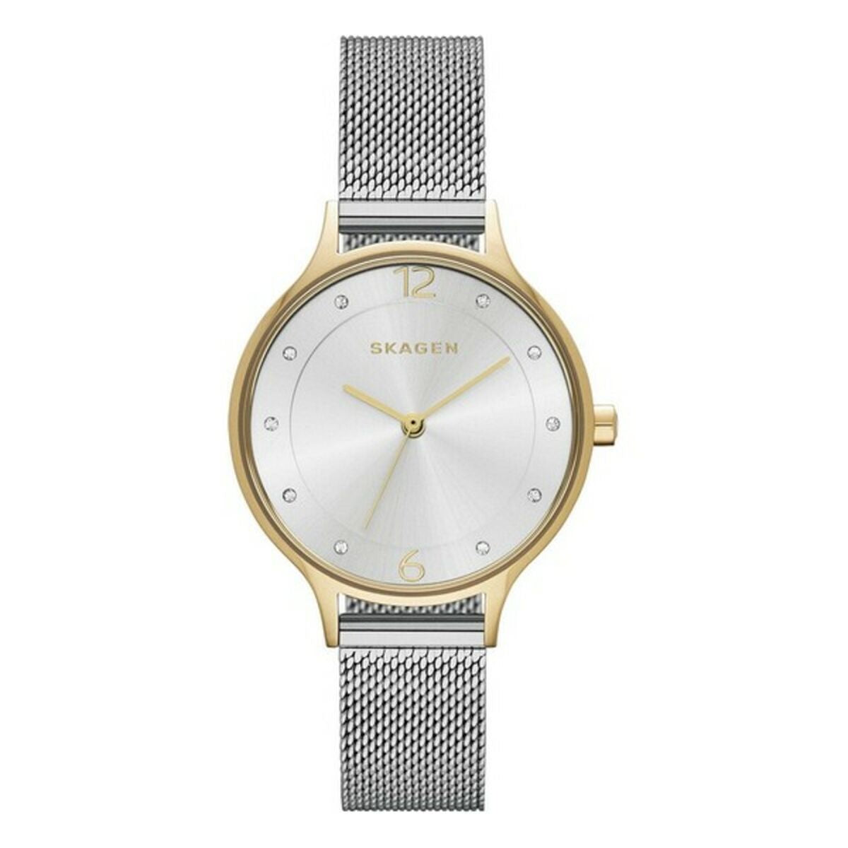 Horloge Dames Skagen SKW2340