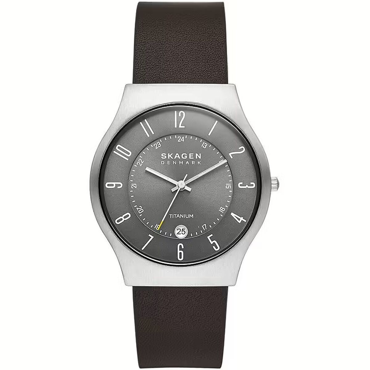 Horloge Heren Skagen SUNDBY TITANIUM (Ø 40 mm)