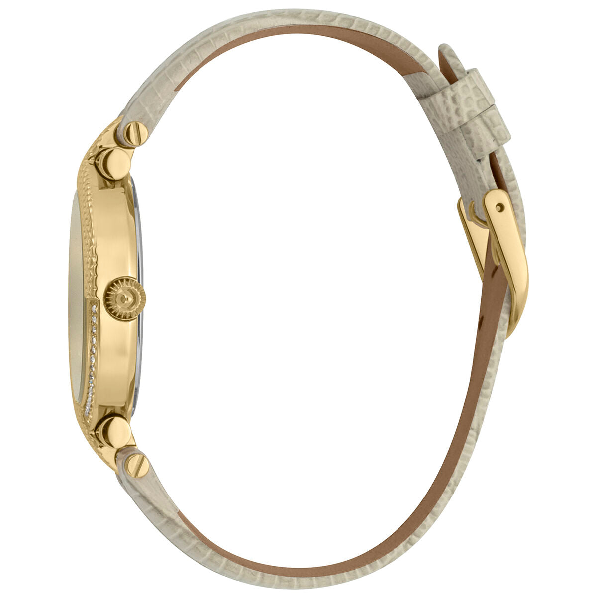 Horloge Dames Just Cavalli JC1L105L0025 (Ø 34 mm)