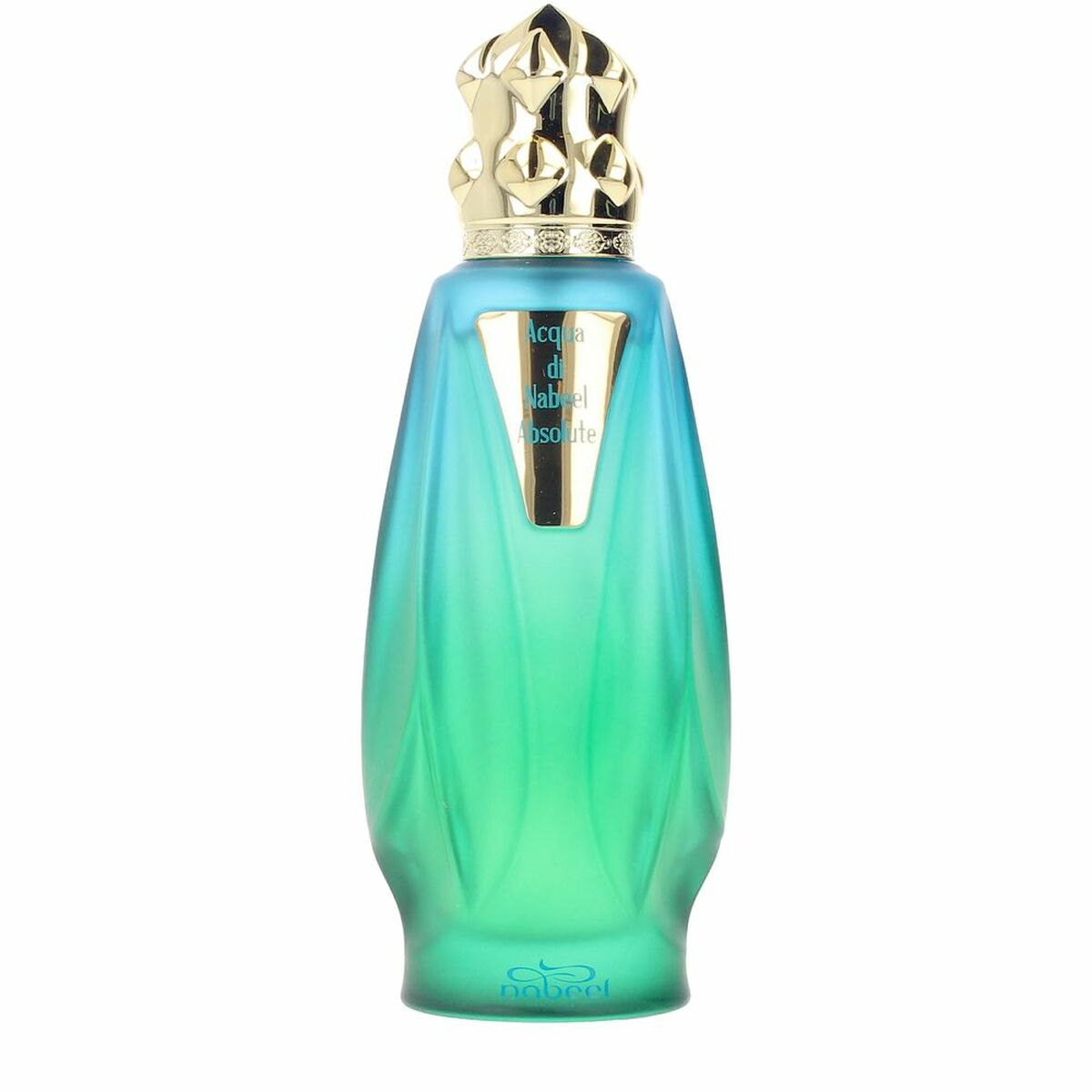 Uniseks Parfum Nabeel ACQUA DI NABEEL ABSOLUTE EDP 100 ml - Schoonheid, Parfums en geuren - Nabeel