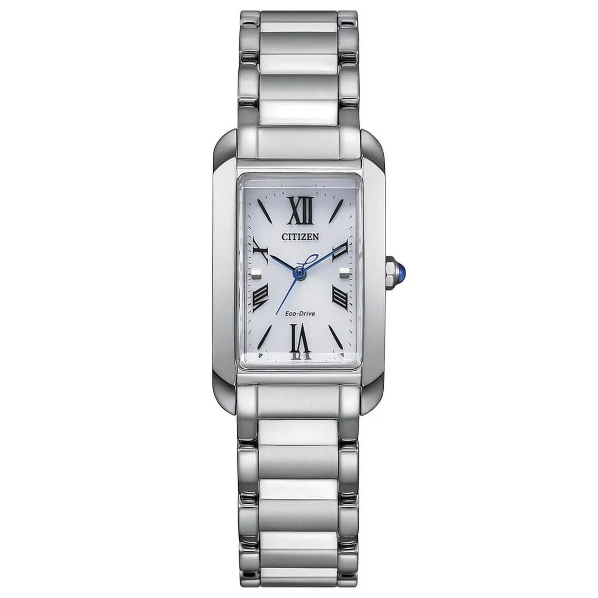 Horloge Heren Citizen EW5620-55A Zilverkleurig