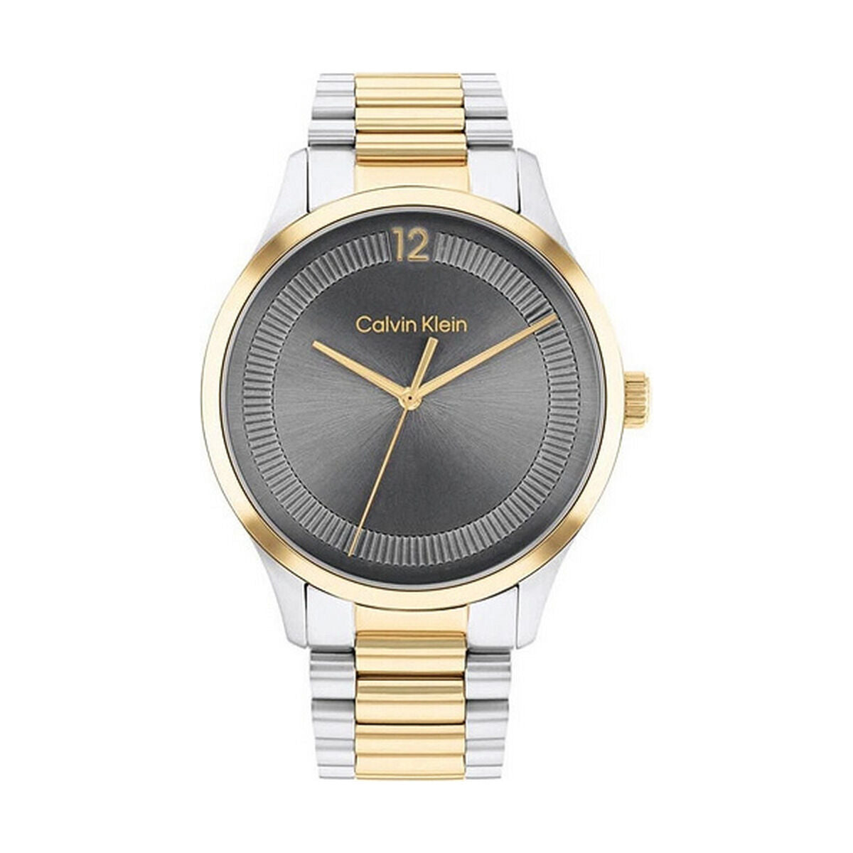 Horloge Heren Calvin Klein 25200226