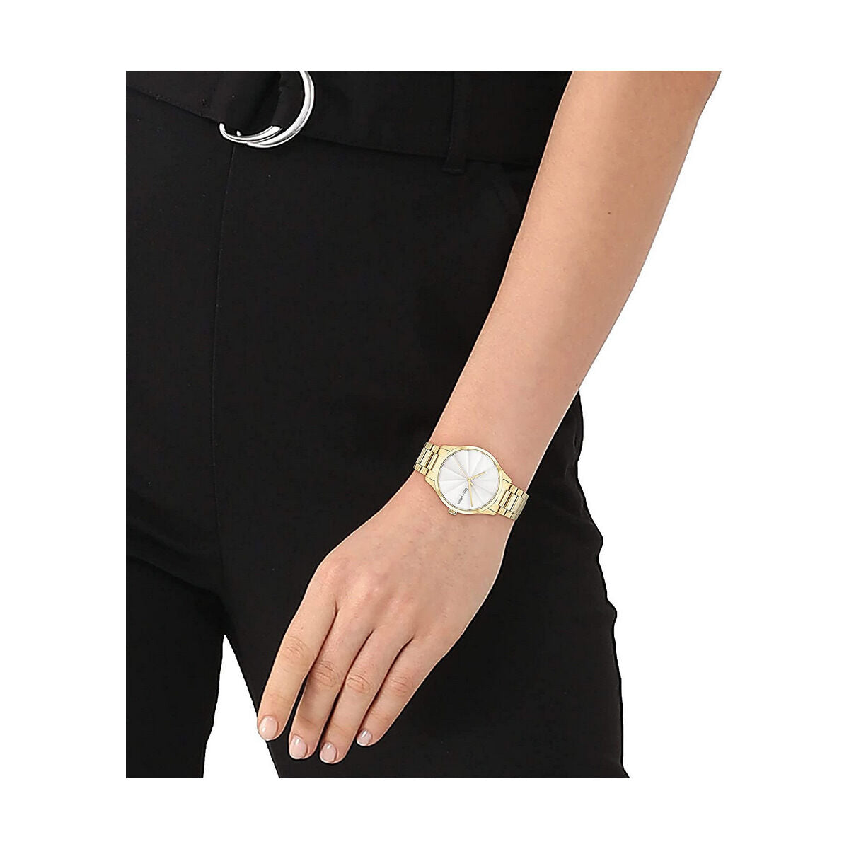 Horloge Heren Calvin Klein 25200232