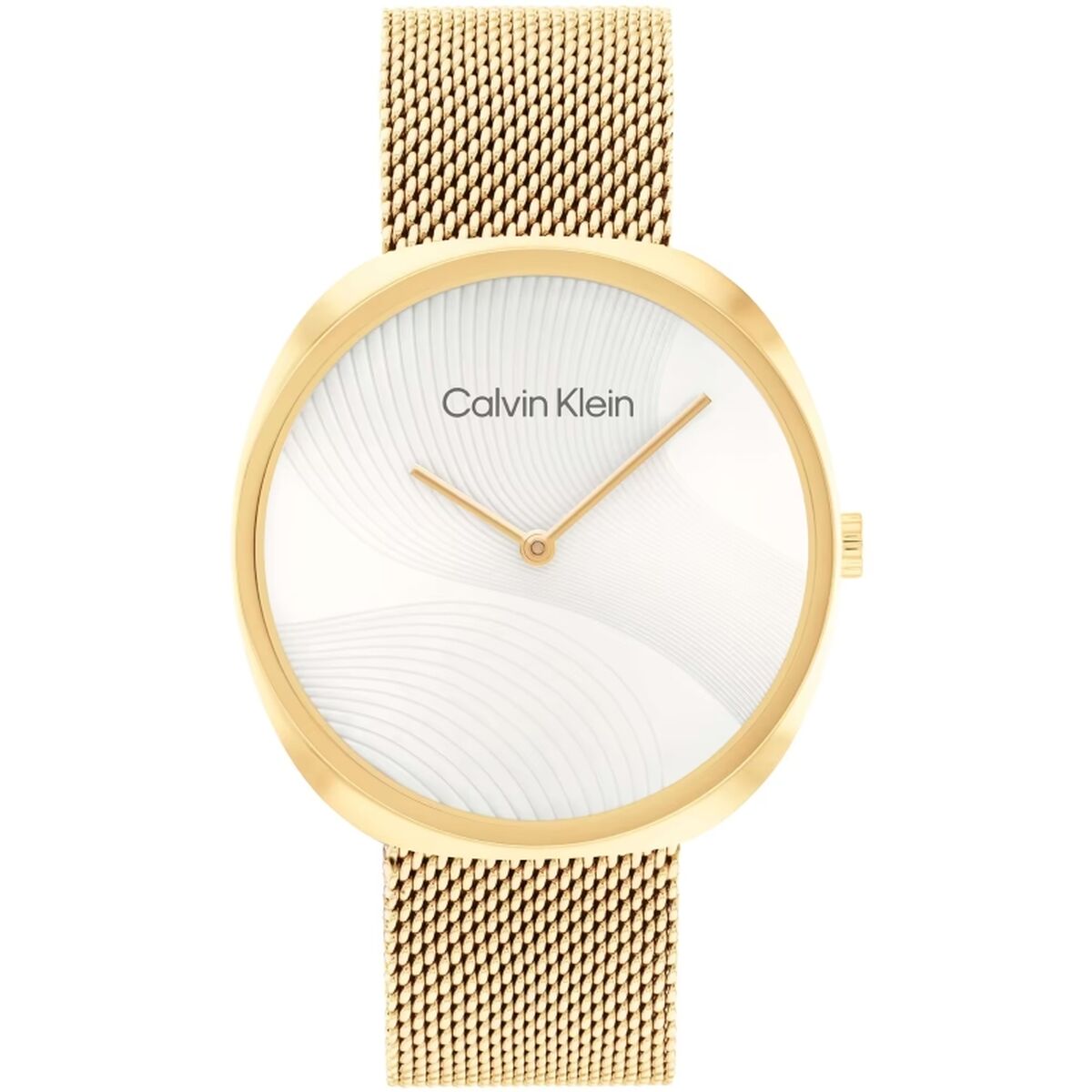 Horloge Heren Calvin Klein 1685215