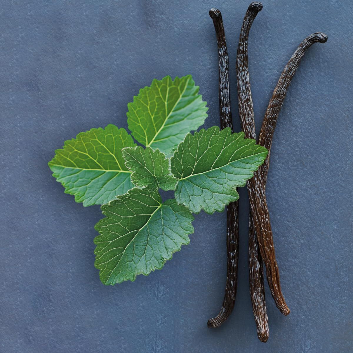 Damesparfum Elie Saab LE PARFUM Le Parfum Royal EDP 50 ml