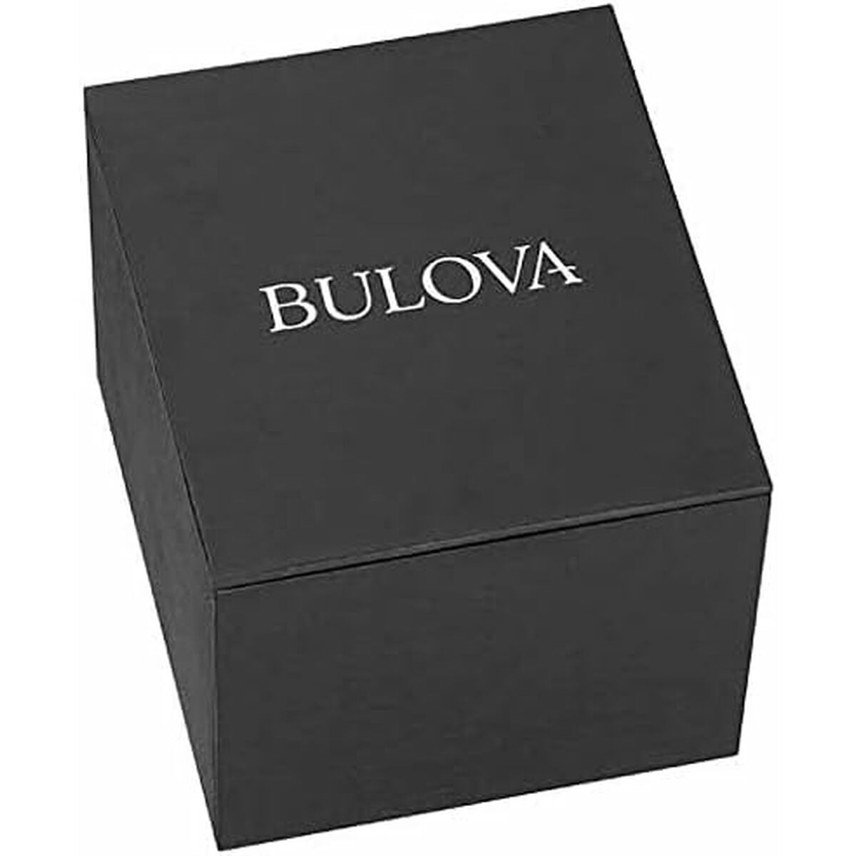 Horloge Heren Bulova 96P244