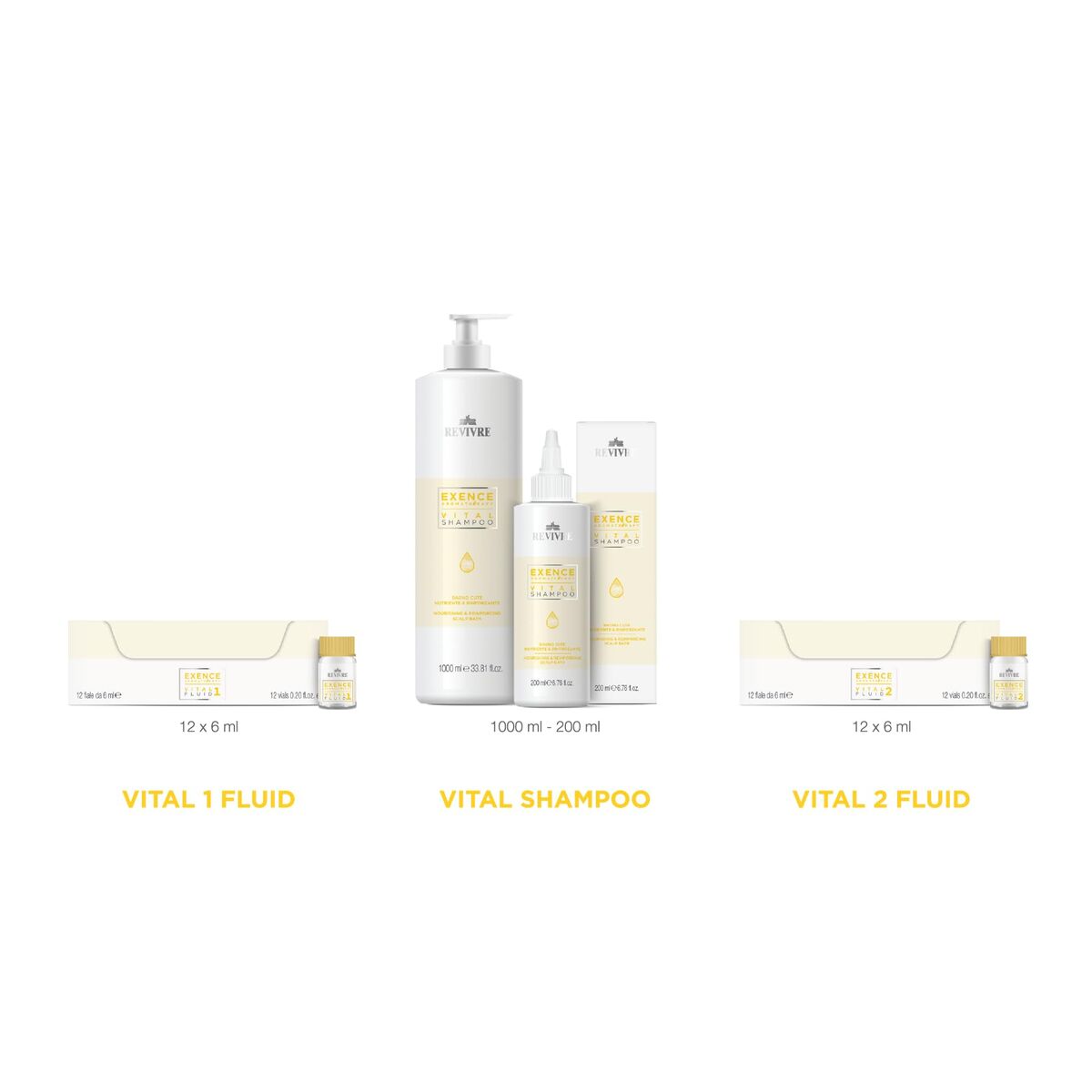 Versterkende Haarbehandeling Revivre vital (12 Stuks) - Schoonheid, Haarverzorging - Revivre