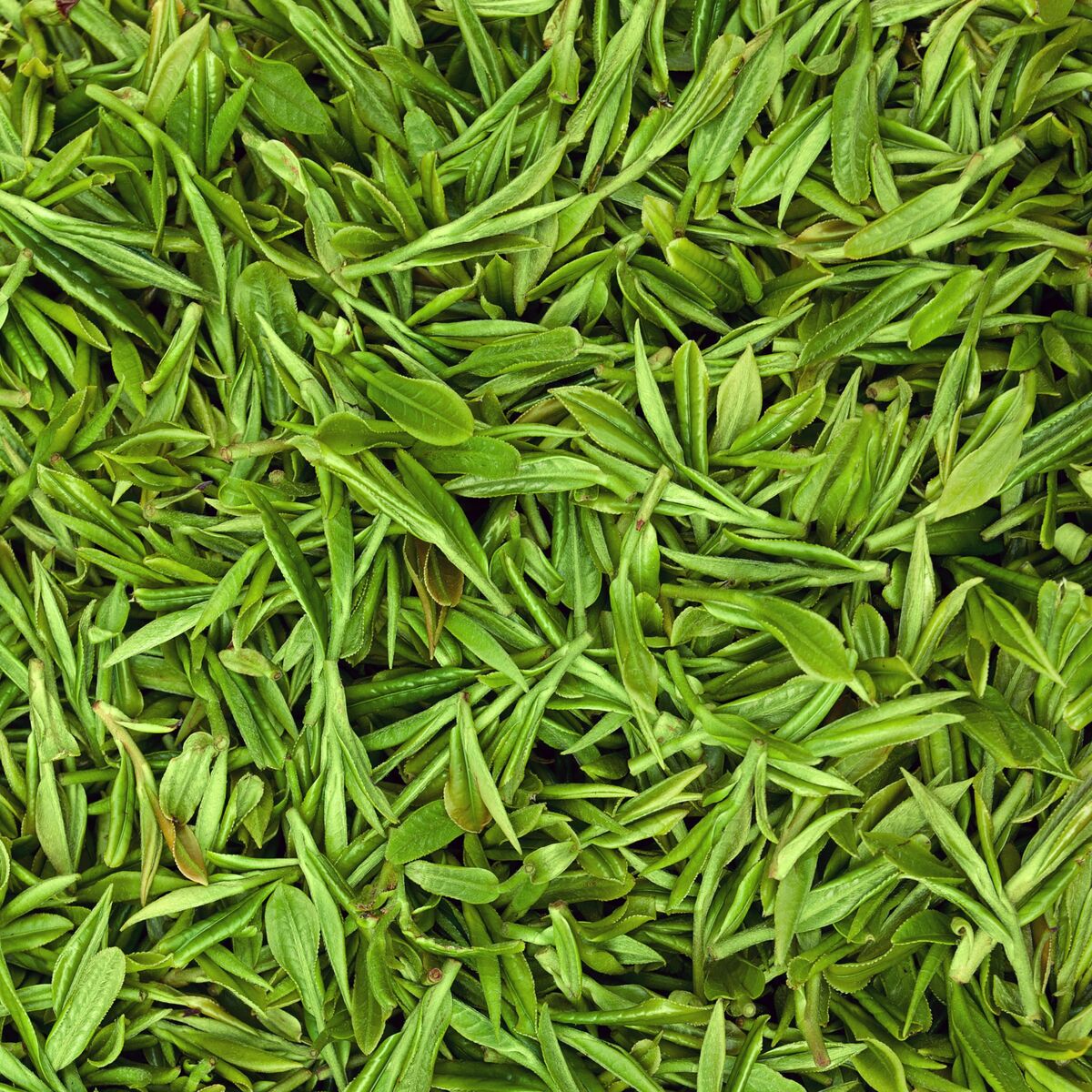 Shampoo Milk Shake DEEP DETOX