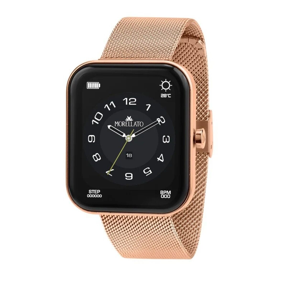 Horloge Heren Morellato R0153169501