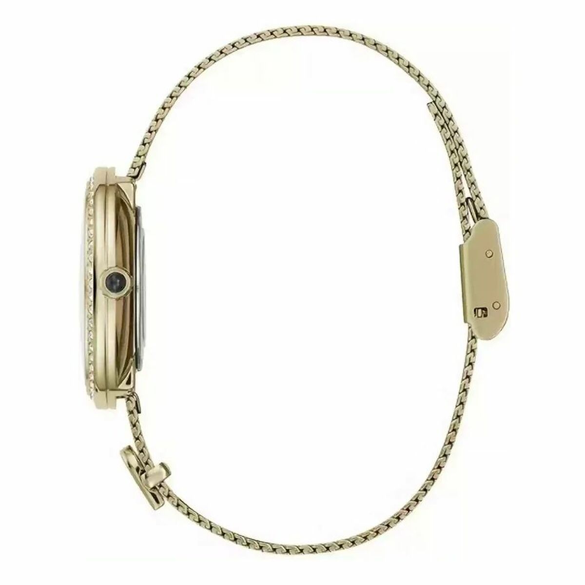 Horloge Dames Furla WW00022001L2 (Ø 32 mm)