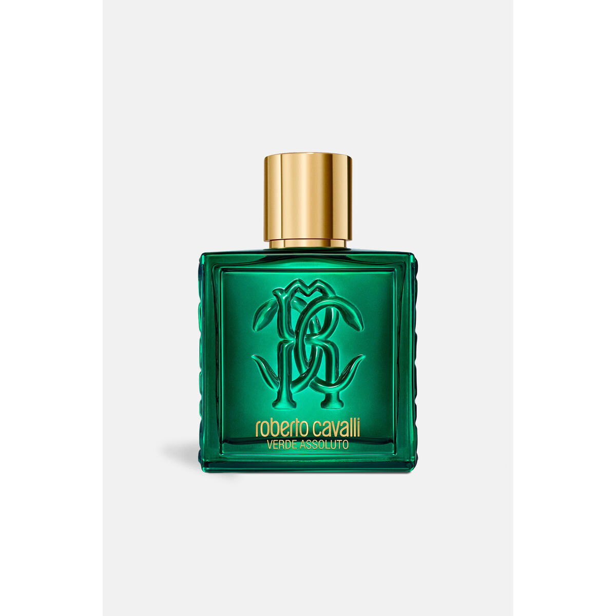Herenparfum Roberto Cavalli UOMO ROBERTO CAVALLI 100 ml - Schoonheid, Parfums en geuren - Roberto Cavalli