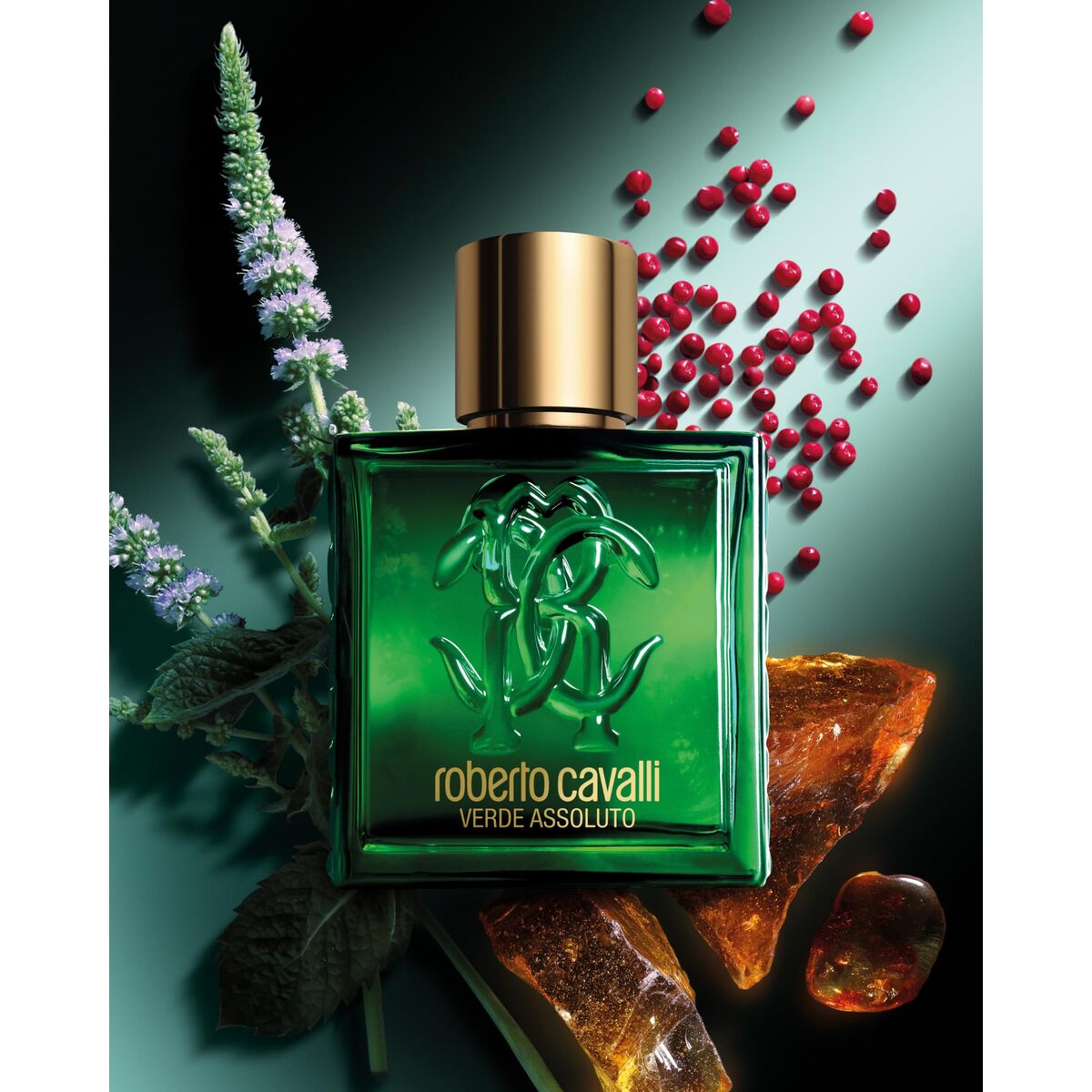 Herenparfum Roberto Cavalli UOMO ROBERTO CAVALLI 100 ml - Schoonheid, Parfums en geuren - Roberto Cavalli