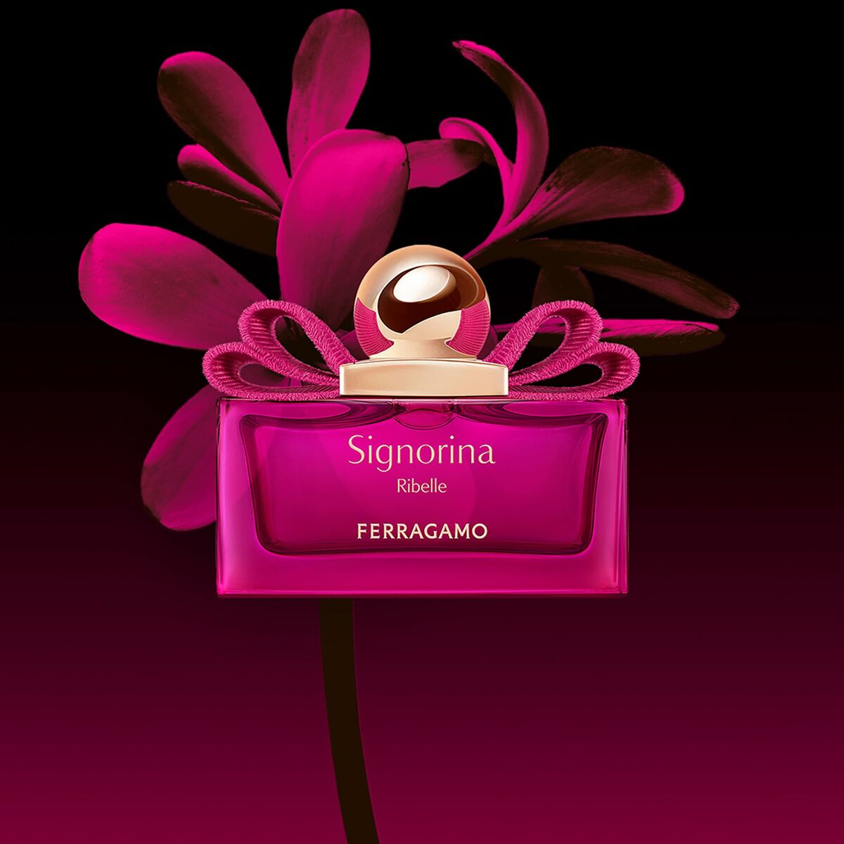 Uniseks Parfum Salvatore Ferragamo SIGNORINA - Schoonheid, Parfums en geuren - Salvatore Ferragamo